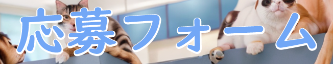 応募フォーム